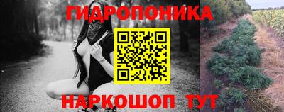 apvp Аргун