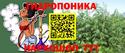 apvp Аргун