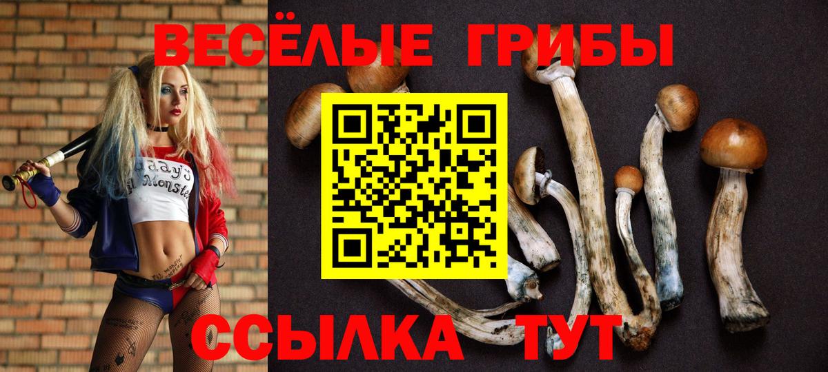 Галлюциногенные грибы мухоморы Вятские Поляны
